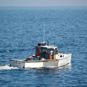Charter boat running across the sea
