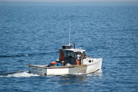 Charter boat running across the sea
