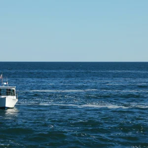 White motorboat at rest on calm water
