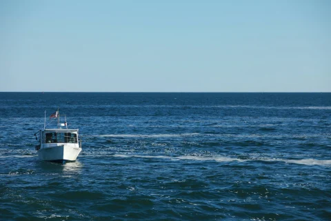 White motorboat at rest on calm water