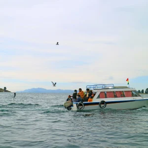 Passenger tour boat with seagulls, Honolulu harbor